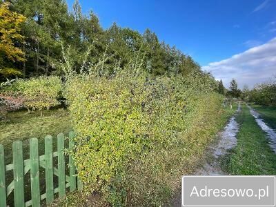 Działka rod Słupsk. Zdjęcie 1