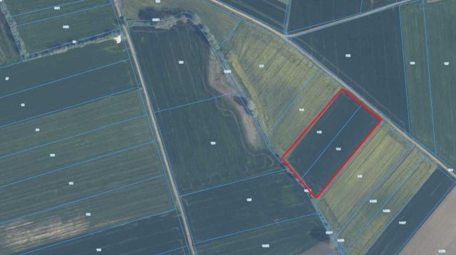 Działka rolna Ryszewko. Zdjęcie 1