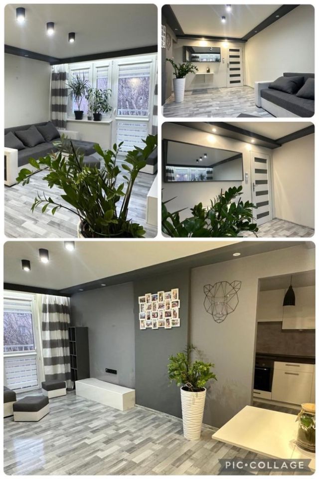 Mieszkanie 2-pokojowe Racibórz, ul. Ludwika Waryńskiego. Zdjęcie 3