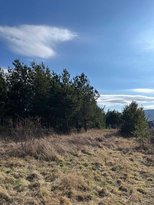 Działka rekreacyjna Mirocice. Zdjęcie 6