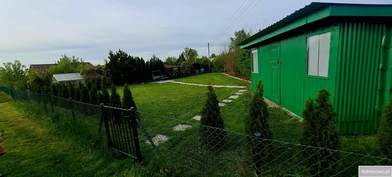 Działka rod Panki. Zdjęcie 6