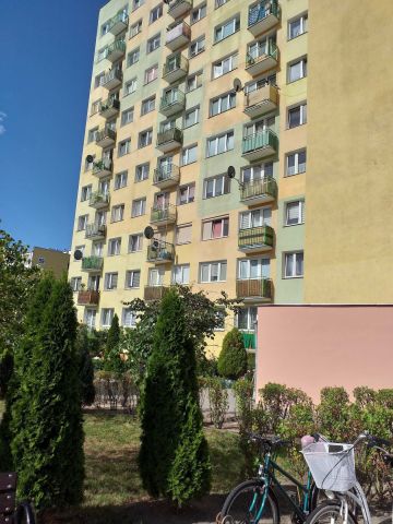 Mieszkanie 3-pokojowe Włocławek Zazamcze. Zdjęcie 1