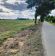 Działka rolno-budowlana Skowierzyn. Zdjęcie 8