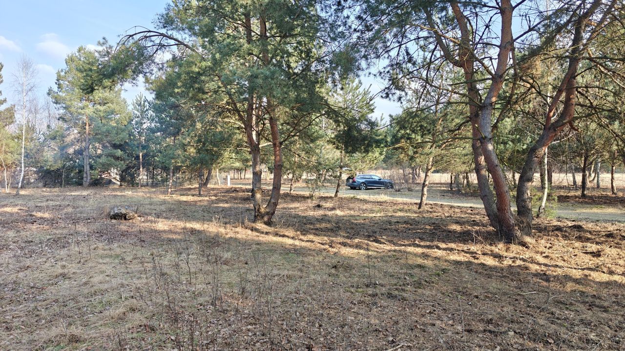 Działka budowlana Nowe Budy, ul. Sosnowa. Zdjęcie 2