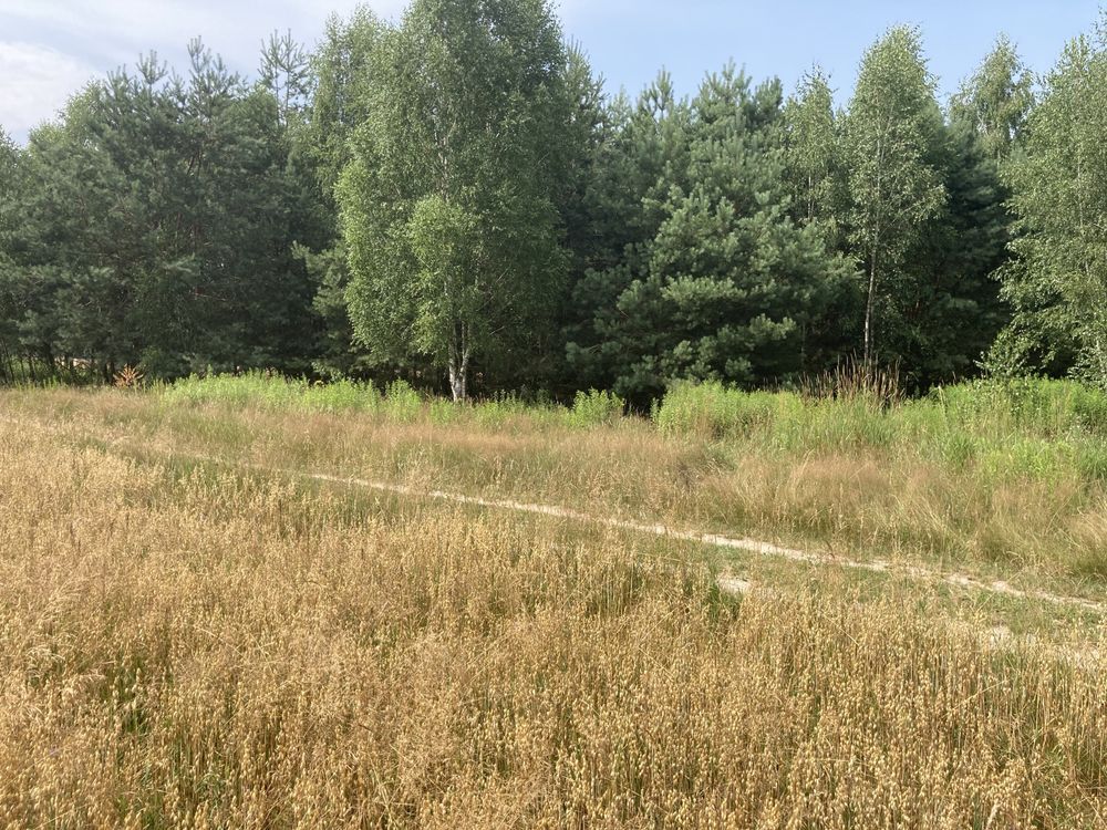 Działka Wodynie. Zdjęcie 2