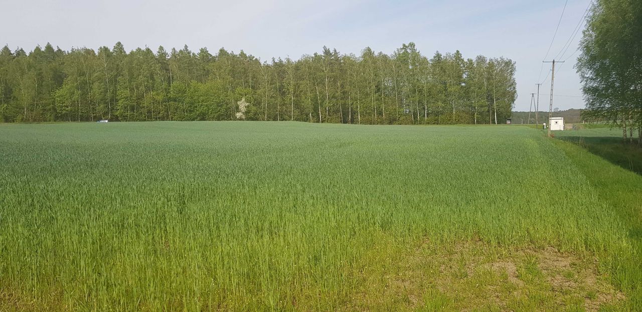 Działka inwestycyjna Orzełek. Zdjęcie 8