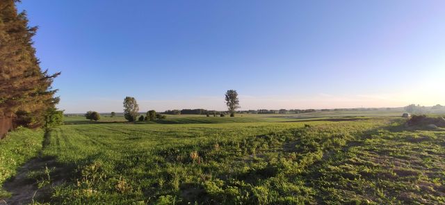 Działka budowlana Lewałd Wielki. Zdjęcie 1