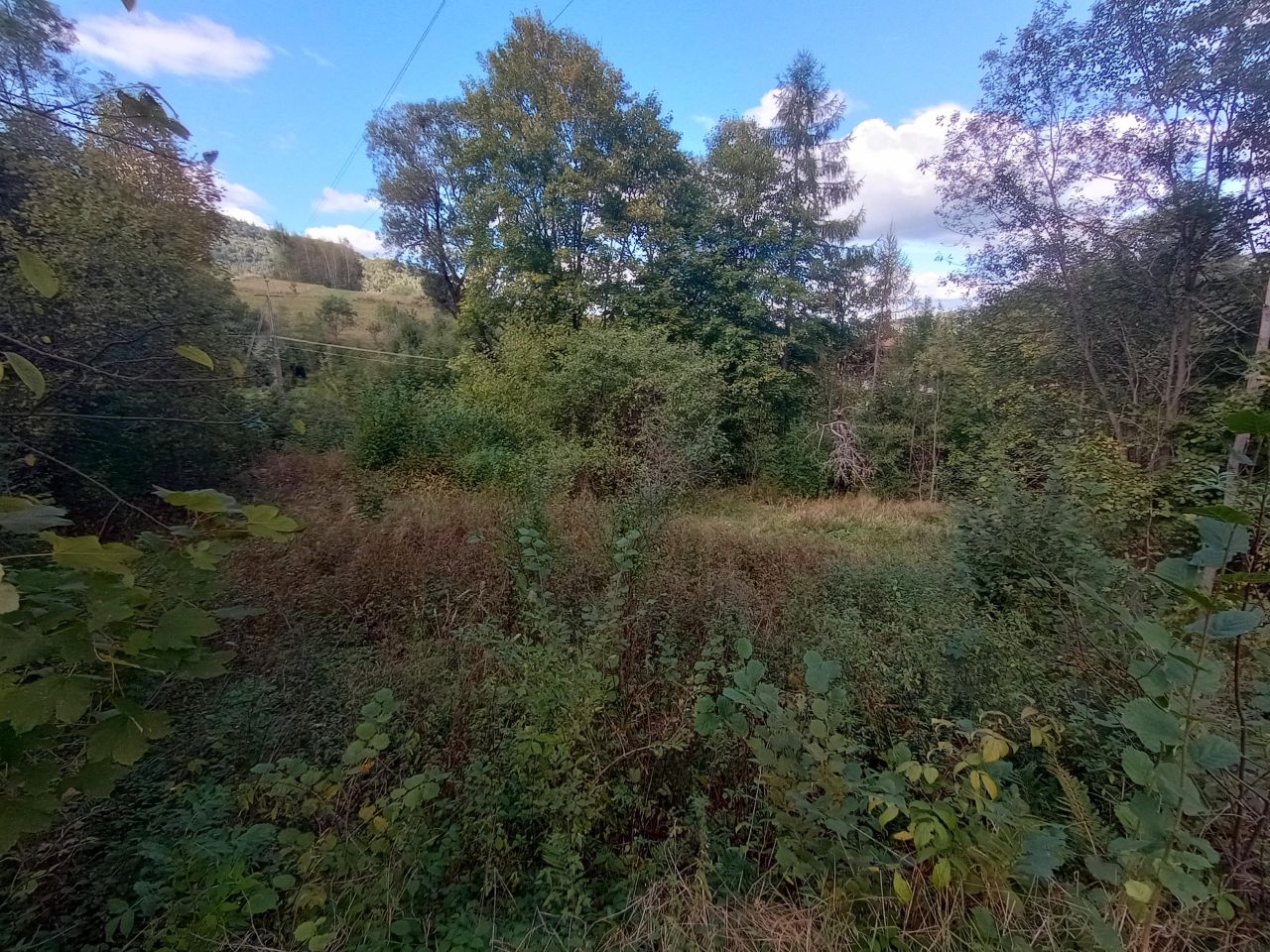 Działka rolno-budowlana Tylmanowa Ziemianki, os. Ziemianki. Zdjęcie 5