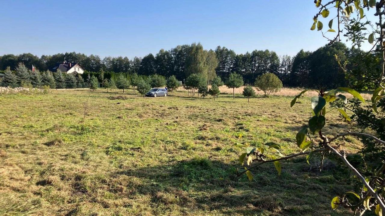 Działka siedliskowa Przyłęk. Zdjęcie 7