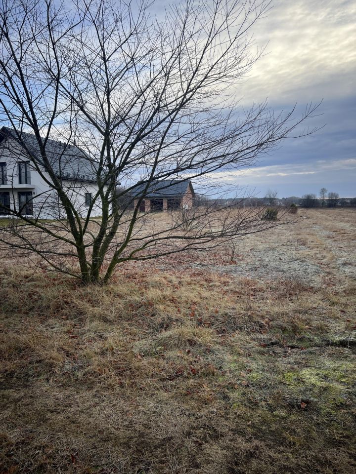 Działka rolno-budowlana Tuszyma. Zdjęcie 3