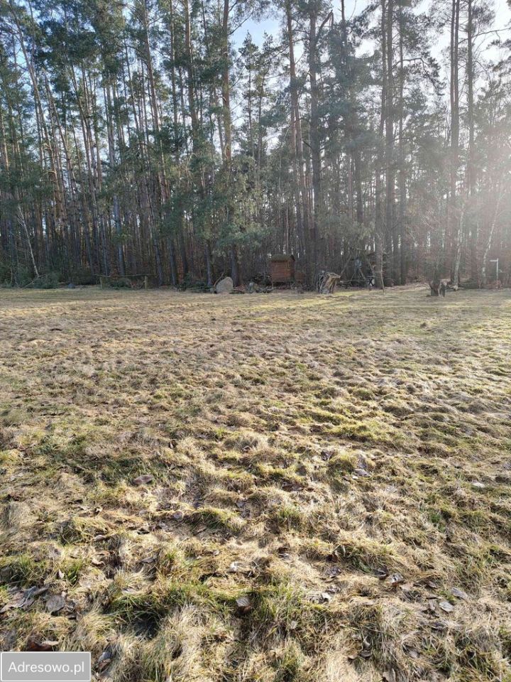 Działka budowlana Biadaszka. Zdjęcie 4