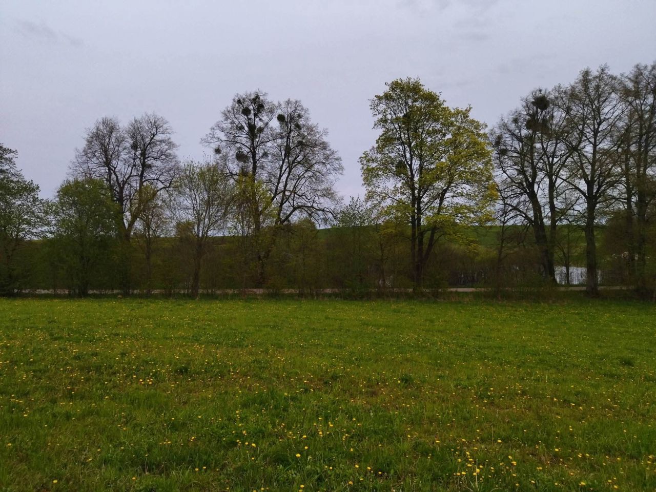 Działka budowlana Rumy. Zdjęcie 18