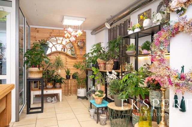 Lokal Koszalin, pl. Zwycięstwa. Zdjęcie 10