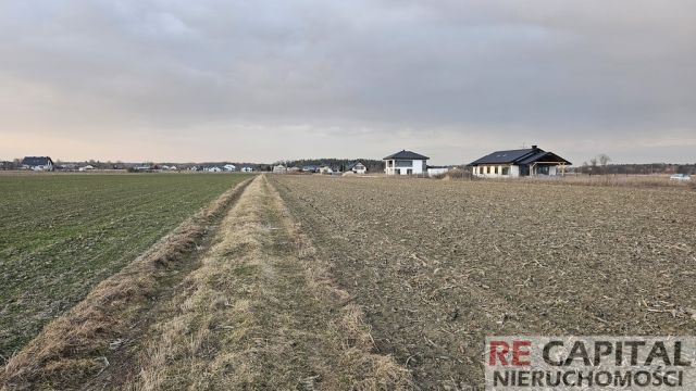 Działka budowlana Zaborówek. Zdjęcie 4