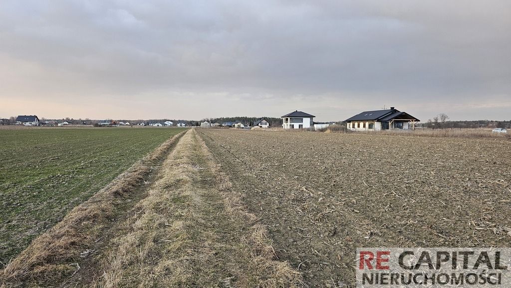 Działka budowlana Zaborówek. Zdjęcie 4