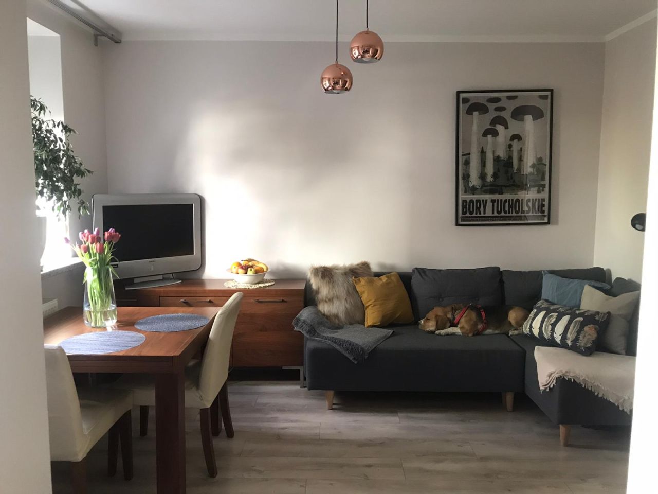 Mieszkanie 2-pokojowe Warszawa Włochy, ul. Fasolowa