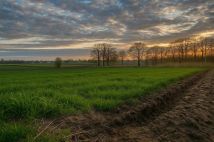 Działka budowlana Mikołów, ul. Gliwicka. Zdjęcie 3