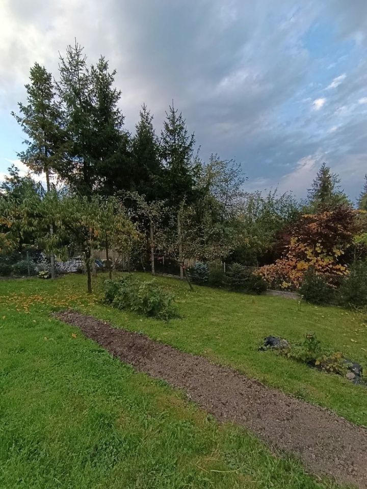 Działka rod Bochnia. Zdjęcie 2