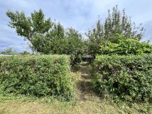 Działka rod Ostrzeszów. Zdjęcie 4