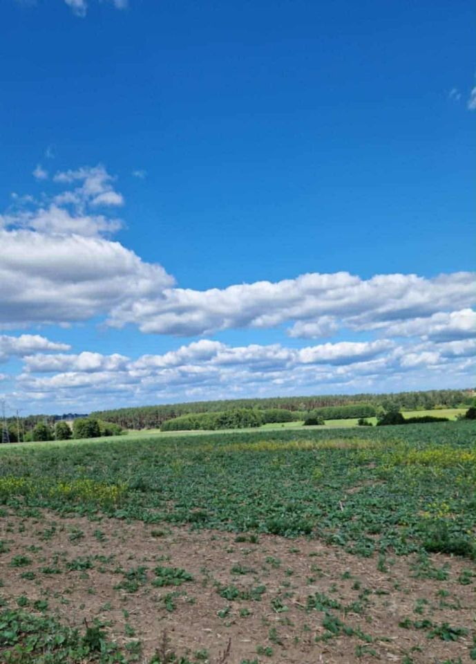 Działka budowlana Grobia. Zdjęcie 6