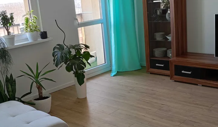 Mieszkanie 3-pokojowe Sieradz