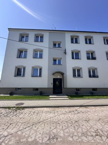 Mieszkanie 1-pokojowe Rożyńsk. Zdjęcie 1