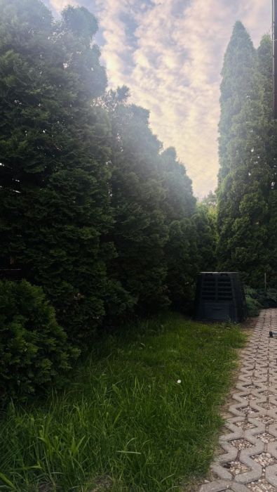 Działka rod Gdańsk Wyspa Sobieszewska. Zdjęcie 8