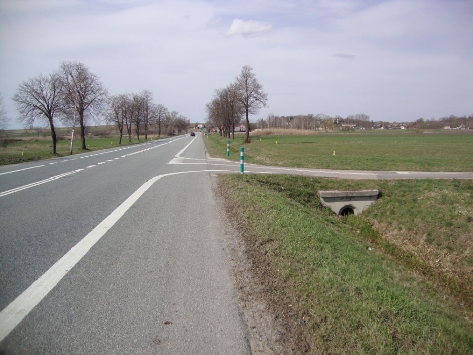 Działka rolno-budowlana Słupia. Zdjęcie 6