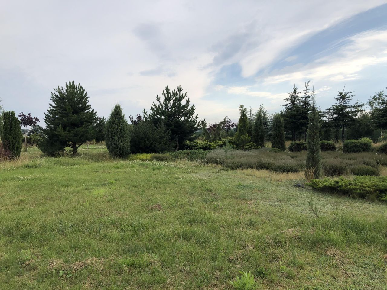 Działka budowlana Murzynowo Leśne, ul. Poznańska. Zdjęcie 10