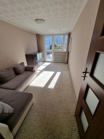 Mieszkanie 3-pokojowe Poznań Jeżyce, ul. Cypriana Kamila Norwida. Zdjęcie 1