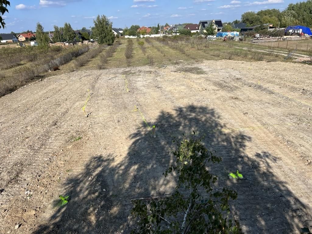 Działka budowlana Słupno, ul. Polnej Róży. Zdjęcie 5