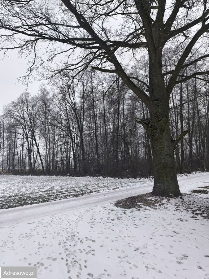Działka budowlana Malanów. Zdjęcie 8