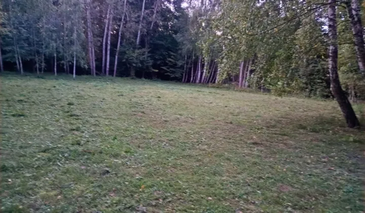 Działka budowlana Dąbczyn