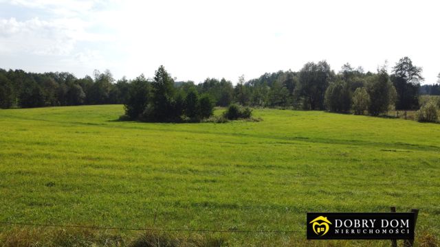 Działka budowlana Guty Rożyńskie. Zdjęcie 11