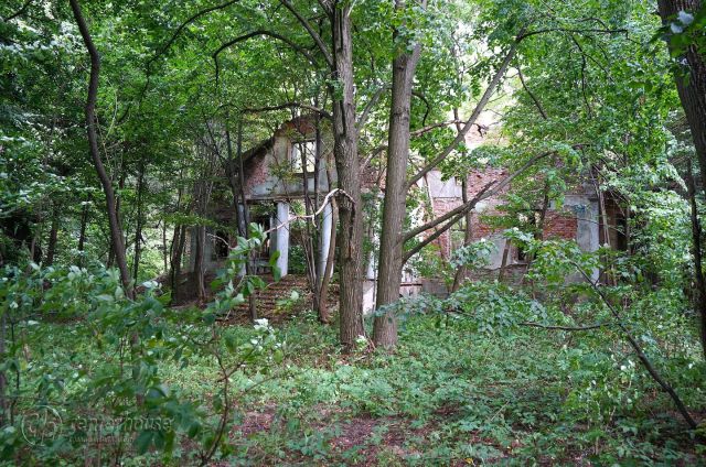 dworek Dąbrowica. Zdjęcie 24