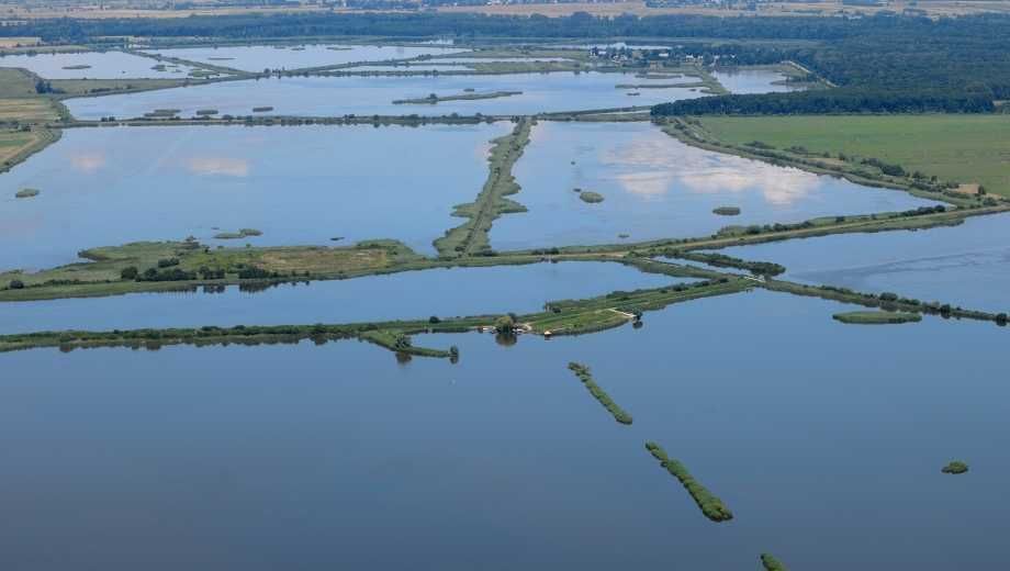Działka budowlana Starzawa. Zdjęcie 2