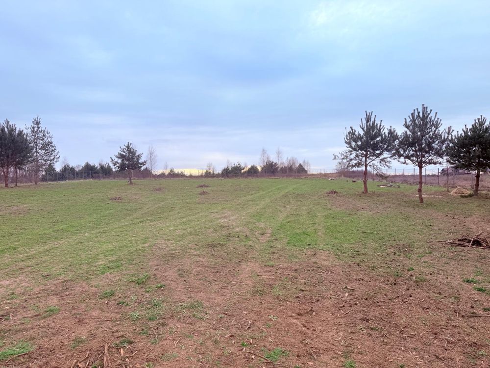 Działka budowlana Dąbrowa nad Czarną. Zdjęcie 2