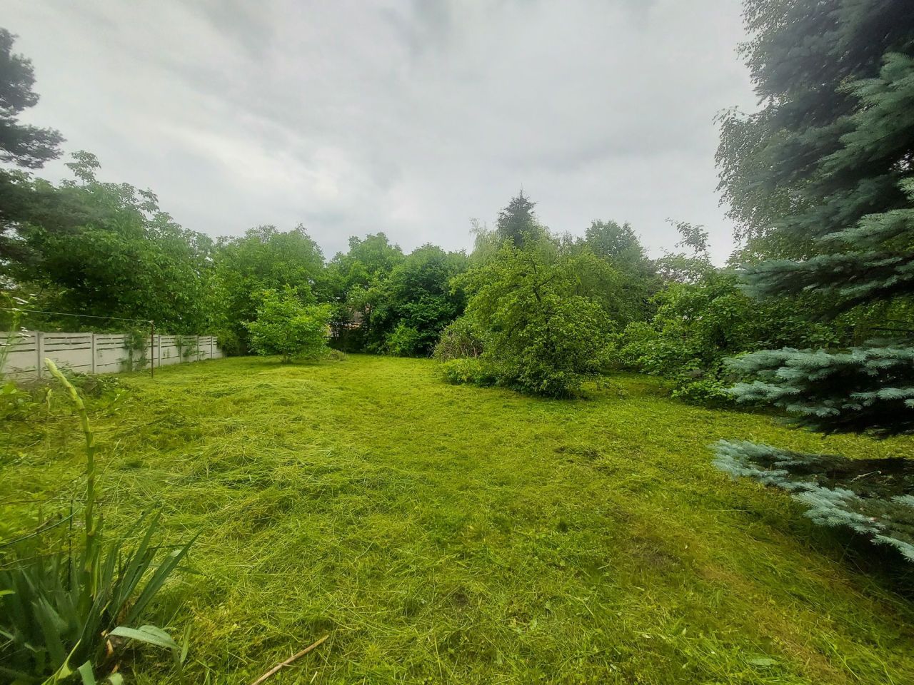 dom wolnostojący Bogoria, ul. Jędrusiów. Zdjęcie 7