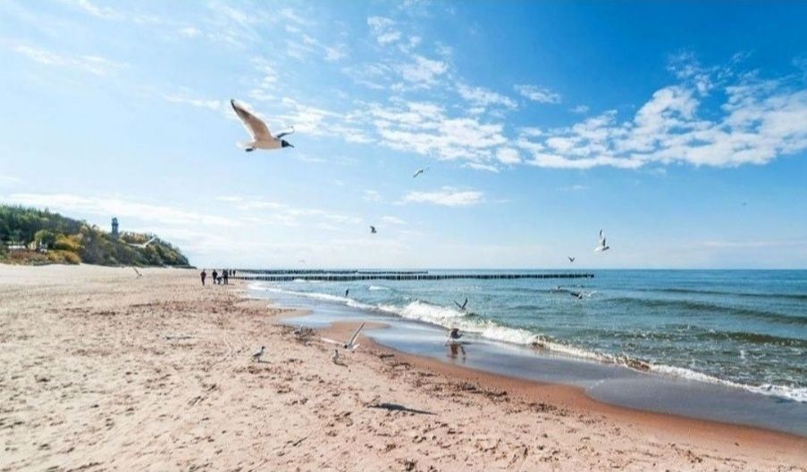 Działka rekreacyjna Lędzin. Zdjęcie 2