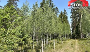 Działka leśna Rudnica