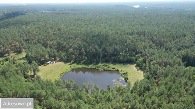 Działka rekreacyjna Juszki. Zdjęcie 1