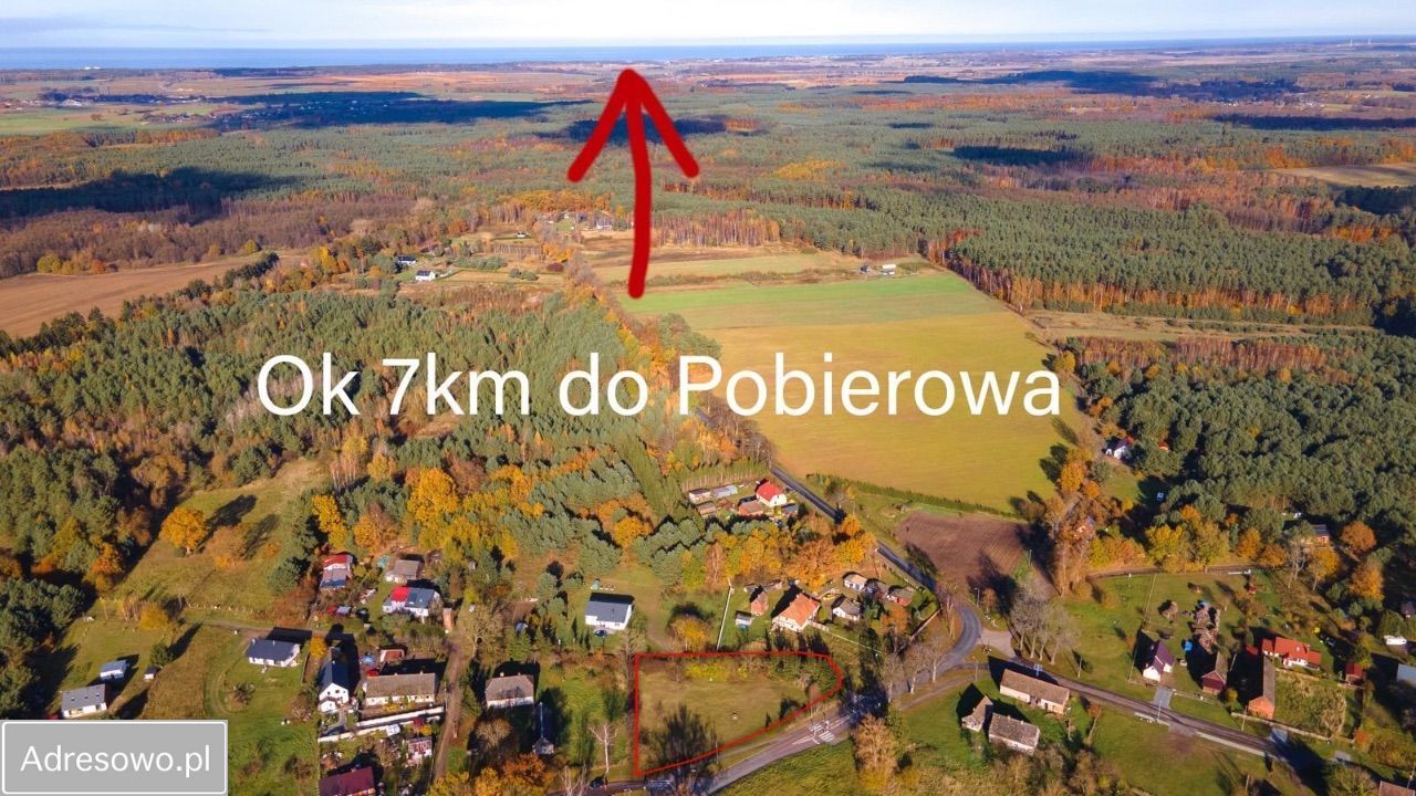 Działka Gostyniec. Zdjęcie 2