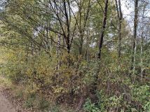 Działka rolna Wyrąb Karwacki. Zdjęcie 3