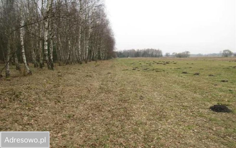 Działka rolna Złotniki. Zdjęcie 5