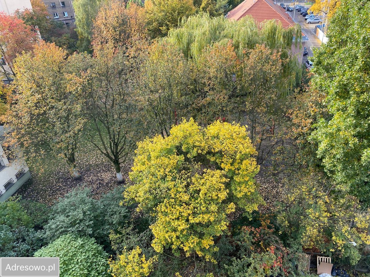 Mieszkanie 3-pokojowe Szczecin Centrum, al. Wyzwolenia. Zdjęcie 9