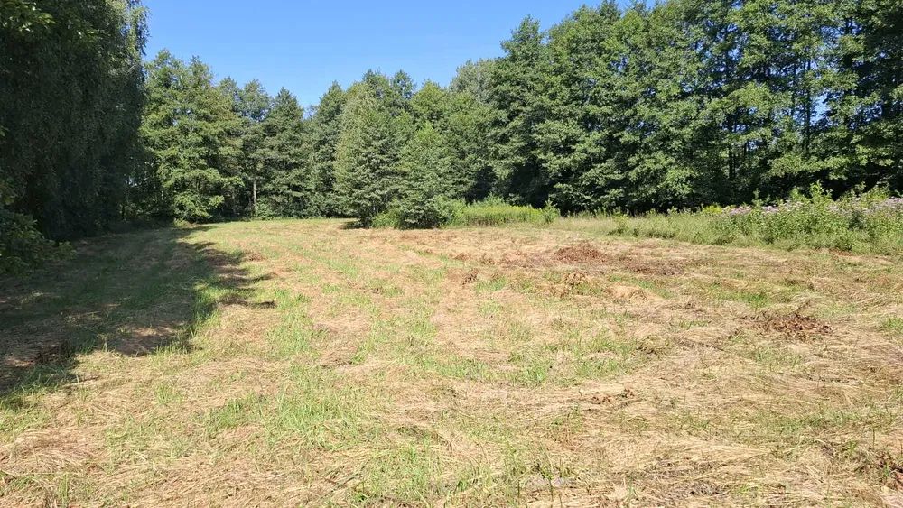 Działka budowlana Radziwiłłów, ul. Zielna. Zdjęcie 7