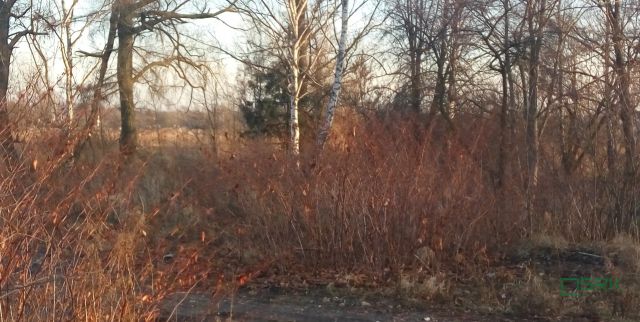 Działka inna Sosnowiec, ul. Wagowa. Zdjęcie 7