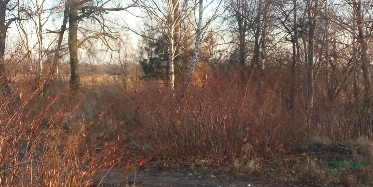 Działka inna Sosnowiec, ul. Wagowa. Zdjęcie 7