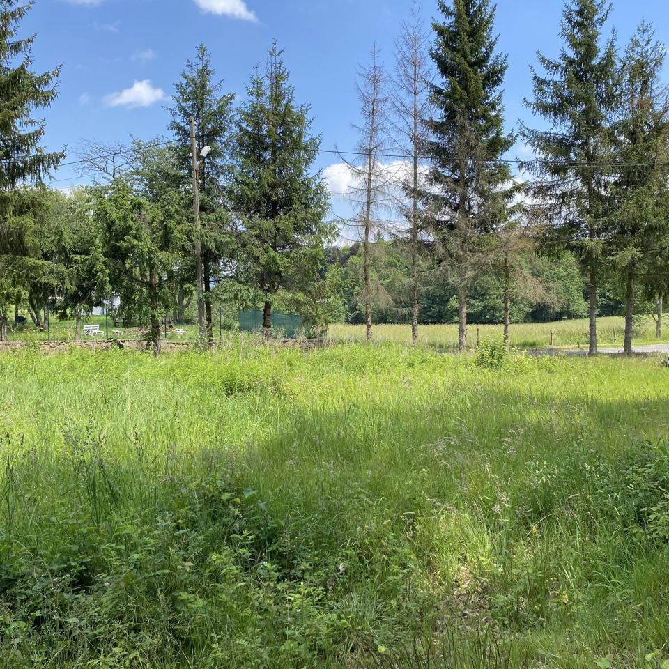 Działka rolno-budowlana Mysłakowice, ul. Czerwony Dworek. Zdjęcie 5