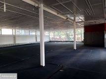 Lokal Głubczyce, ul. Wałowa. Zdjęcie 3